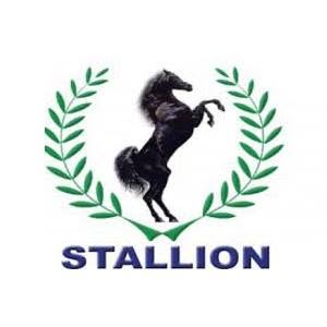 STALLION GHANA LTD